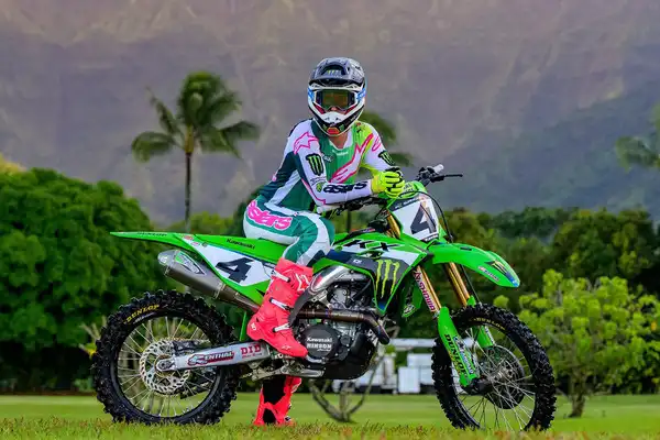 Titanium Alloy Footrest Titanium Alloy Footrest